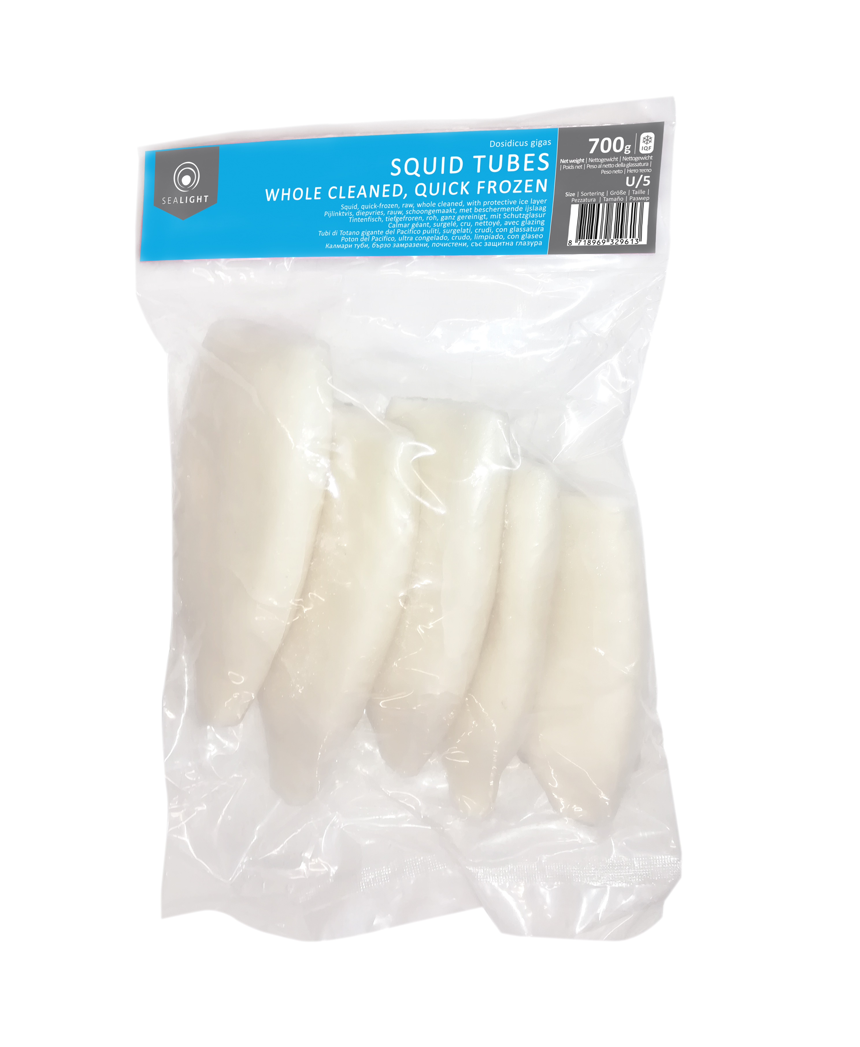 TK Tintenfisch Tuben Gigas